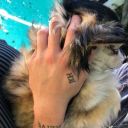 cellyisboring avatar