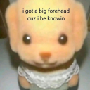 cemetery-eater avatar