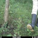 cemetery-trail-cam avatar