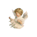 cemeterycherub avatar