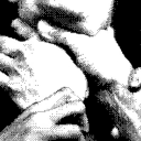 cemeteryfawns avatar