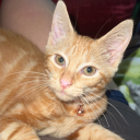 cemeteryknives avatar