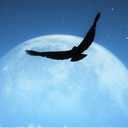 cemiterio-de-ilusoes-blog avatar