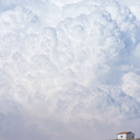 cenosillicaphobiac avatar