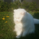 centipedeprince avatar