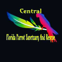 centralfloridaparrotrescue avatar