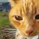 ceoofsparklingwater-blog avatar