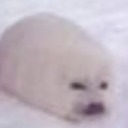 ceramic-warlords avatar