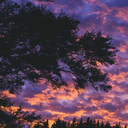 cercasi-cuore avatar