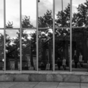 cerclerougephoto avatar