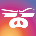 cerdovigilante avatar