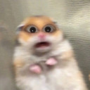 cerealkhiller avatar