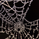 cerealkillerbeb avatar