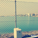 cerebral-chaos-and-cats avatar