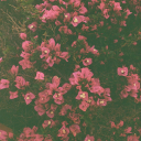 ceres-sees-all avatar