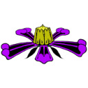 ceropegia avatar