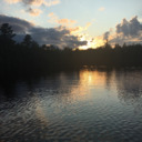 cerseithesnake avatar