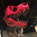 certainlybyitslast avatar