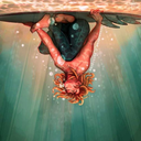 certainstarlightwinner avatar