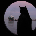 certaintylikelightning avatar