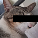 certifieddddd avatar