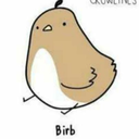 certifiedpigeon avatar