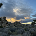 certifiedsadgirl avatar