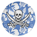 ceruleanpirate avatar