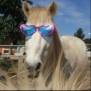 cervidaylight avatar