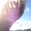 cestlacivilwars avatar