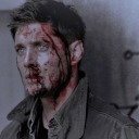 cestlestial-beings avatar