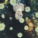 cetaitunenuitorageuseetsombre avatar