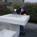 ceterisparadise-blog avatar