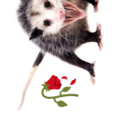 ch3micallyinsane avatar