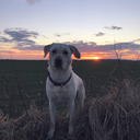 cha0s-walk1ng avatar