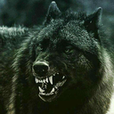 chadeversor-blog avatar