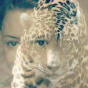 chaellimellow avatar