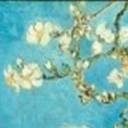 chailatteplease avatar