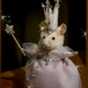 chainsandsticks avatar