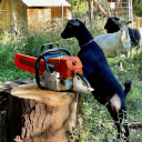chainsawgoat859 avatar
