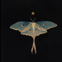 chainsawlalala avatar