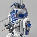 chainxreaction avatar