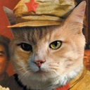 chairman-miaow avatar