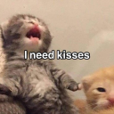 chama-no-papinho avatar