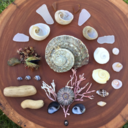 chamaeliriumao3 avatar