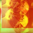 chamberofparanoia avatar