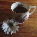 chamomilecore avatar