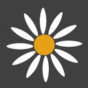 chamomileteazone avatar