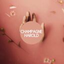 champagneharold avatar