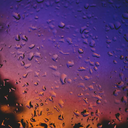 champagnehunni avatar